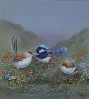 Superb blue wrens - Wrens by Josephine Smith